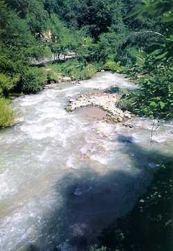 river.jpg (15729 bytes)