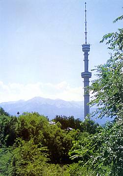 tower.jpg (20706 bytes)