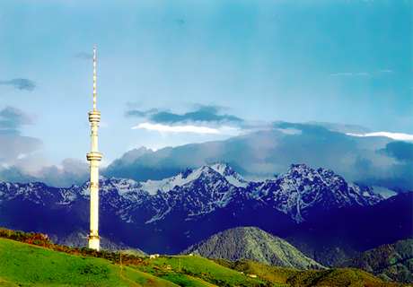 tower.jpg (15768 bytes)